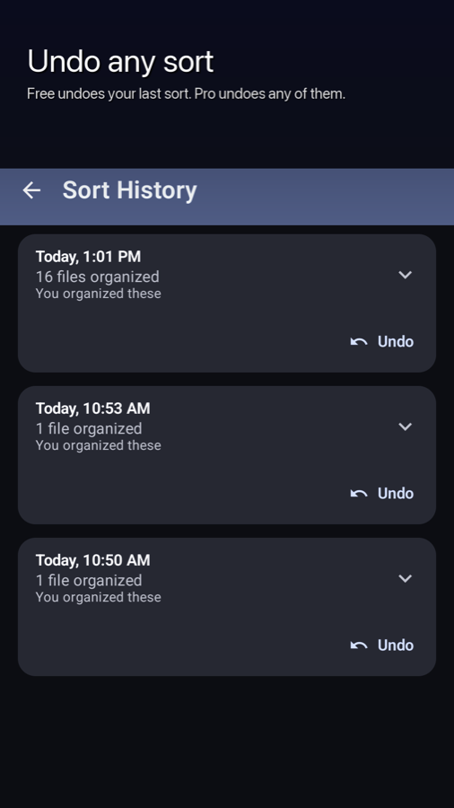 Adinand Auto File Sorter's Sort History, with Undo on each past sort.